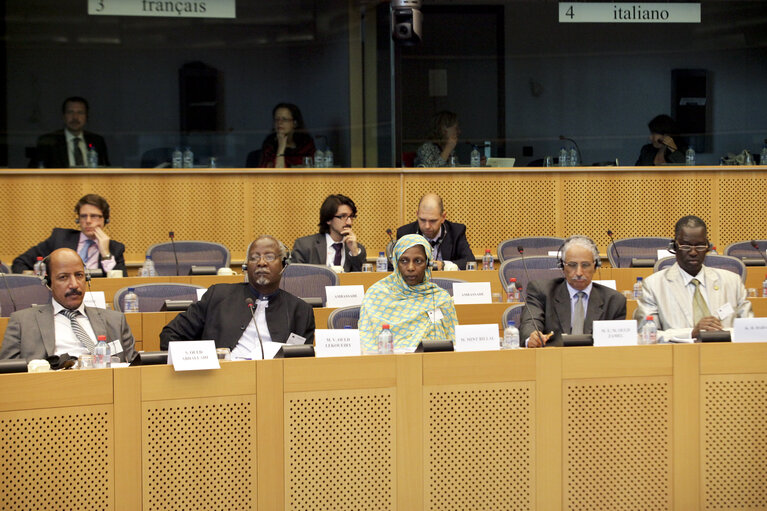 Fotografija 8: 7th Interparliamentary and European Parliament meeting with Islamic Republic of Mauritania