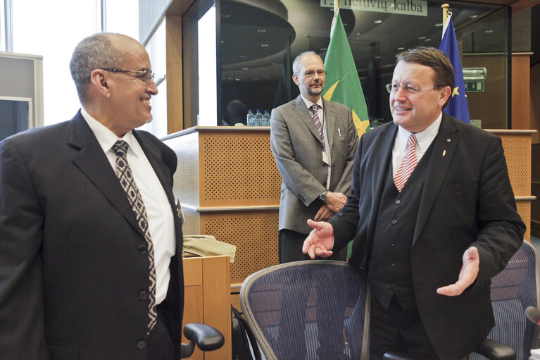 Fotografija 12: 7th Interparliamentary and European Parliament meeting with Islamic Republic of Mauritania