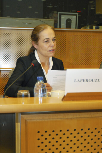 MEP during a meeting