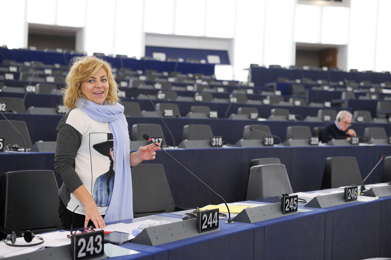 Nuotrauka 20: plenary session week 51 2014 in Strasbourg - Freedom of expression in Turkey