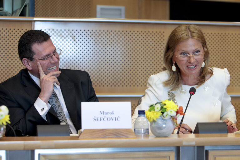 Public Hearinfg S&D group: Wake up Brussels How a million people can change europe