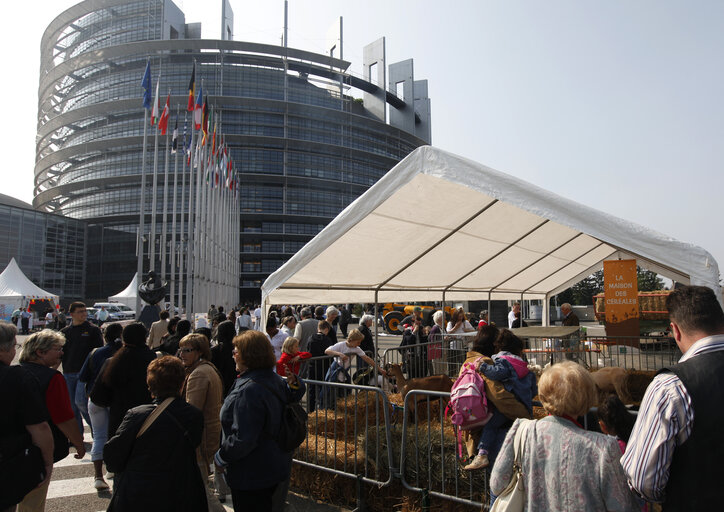 Valokuva 22: Open days of the European Parliament in Strasbourg