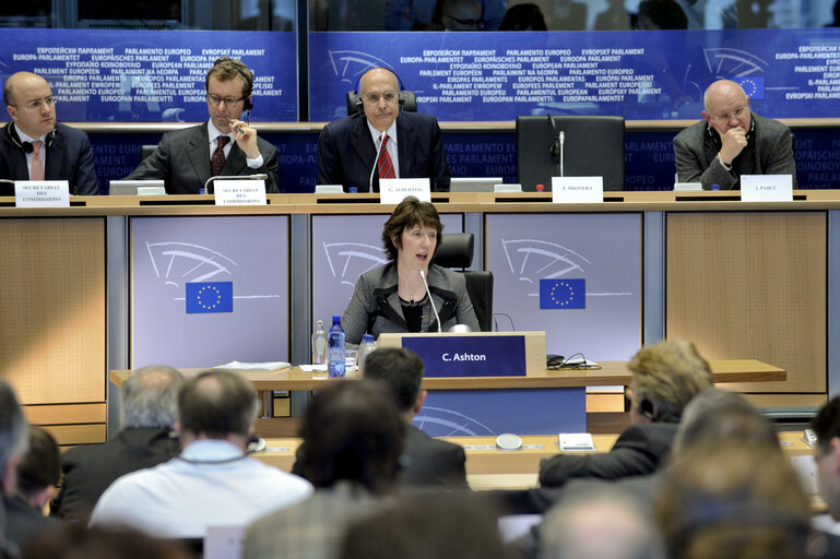Hearing of Catherine Ashton, High Representative-designate for foreign policy. AFET- Audition de Catherine ASHTON, Haute représentante de l'Union pour les affaires étrangères et Vice-présidente désignée de la Commission.