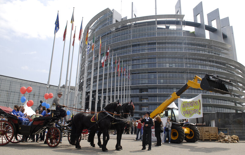 Foto 24: Open days of the European Parliament in Strasbourg