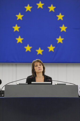 plenary session week 51 2014 in Strasbourg - Freedom of expression in Turkey