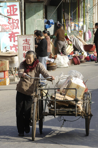 Fujian Chong Wugens population