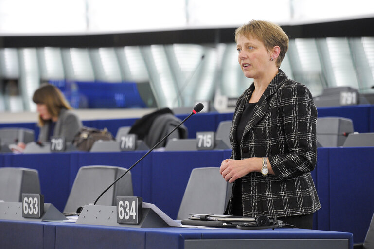 Fotografie 34: Plenary session week 51 2014 in Strasbourg - Georgia