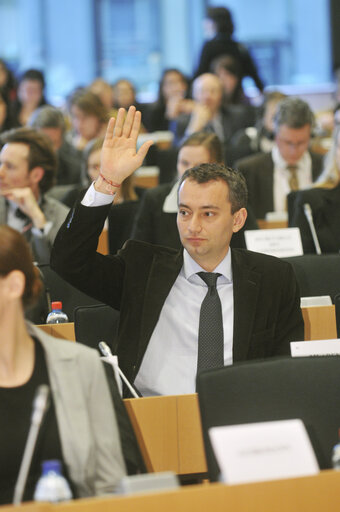 MEP in Plenary Session