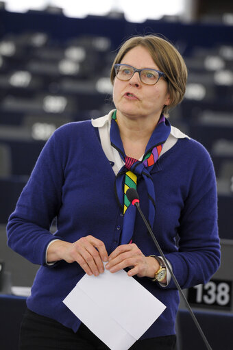 Fotografi 2: Plenary session week 51 2014 in Strasbourg - Georgia