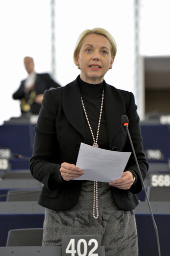 Fotografija 13: Plenary  session week 51 2014 in Strasbourg - Explanation of votes