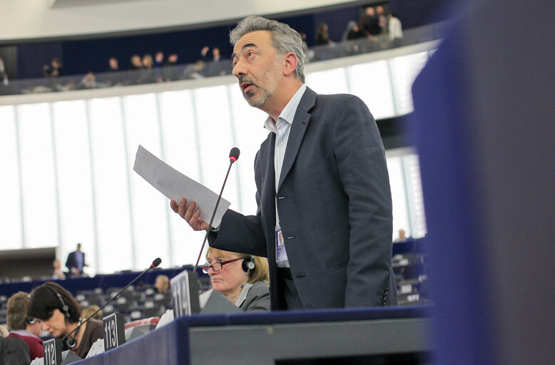 Fotografia 17: Plenary session week 51 2014 in Strasbourg - Convention on International Trade in Endangered Species (CITES)