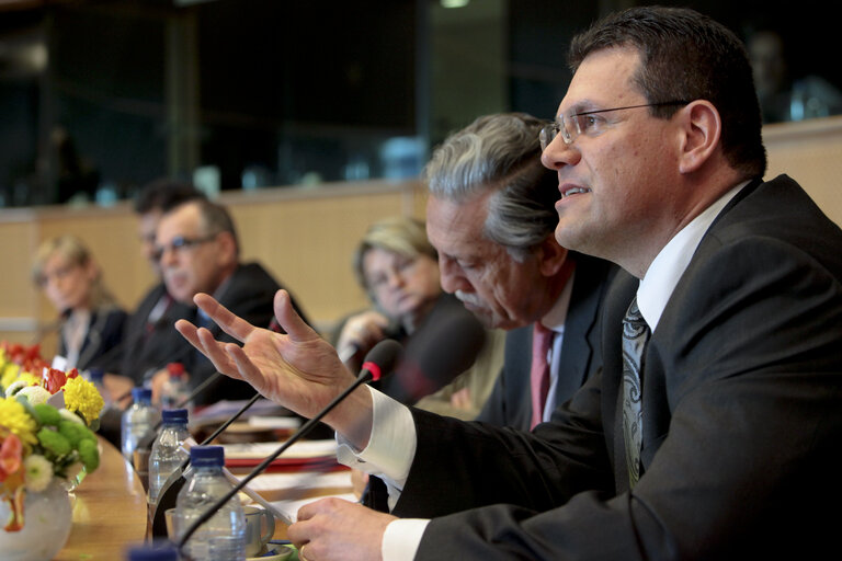 Public Hearinfg S&D group: Wake up Brussels How a million people can change europe