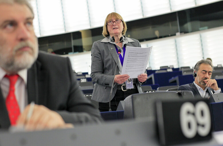 Fotografia 10: Plenary session week 51 2014 in Strasbourg - Convention on International Trade in Endangered Species (CITES)