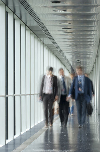 Corridor in the LOW building
