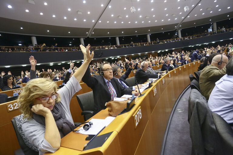 Fotografija 27: Plenary session in brussels - week 46 2014