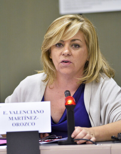 Foto 14: Seminar for journalists.  Sakharov prize for freedom of thought.