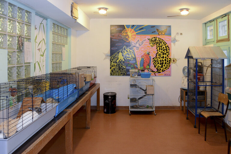 Valokuva 32: Strasbourg detention centre. Animal care for rehabilitation programme .