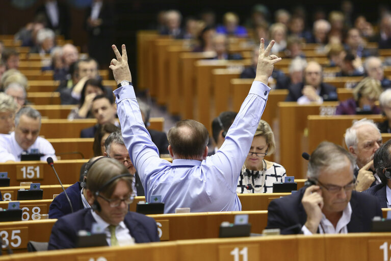 Fotografija 22: Plenary session in brussels - week 46 2014