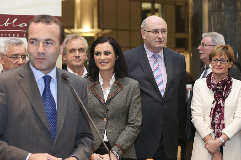 Austria offers a Christmas tree to the European Parliament