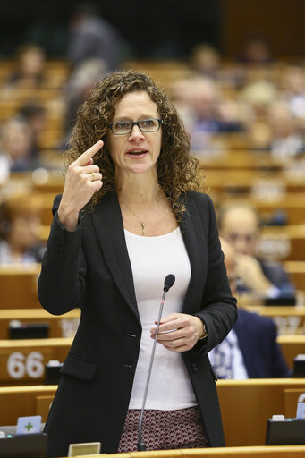 Fotografija 34: Plenary session in brussels - week 46 2014