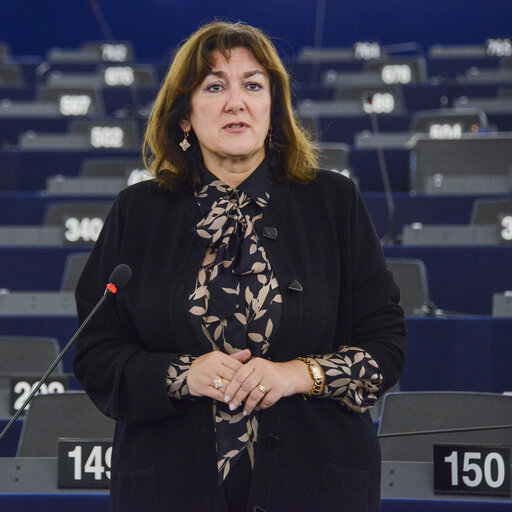 Снимка 18: Plenary session in Strasbourg - Week 48 2014