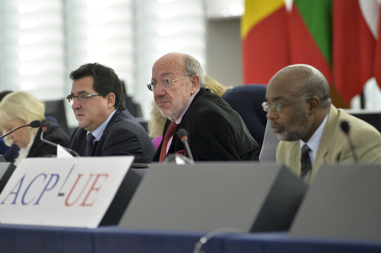 Photo 14 : 28th ACP-EU Joint Parliamentary assembly in Strasbourg  Sitting ' The social and economic consequences of malnutrition in ACP countries '  Statement of Commissioner in charge of international cooperation and development