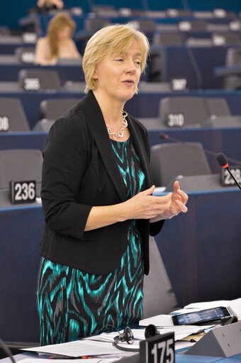 Plenary session in Strasbourg - week 48 2014