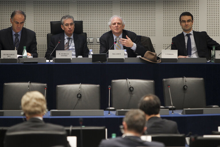 Foto 5: Euro-Latin American Parliamentary Assembly