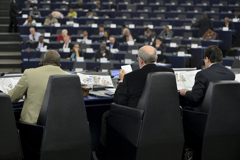 Photo 24 : 28th ACP-EU Joint Parliamentary assembly in Strasbourg  Sitting ' The social and economic consequences of malnutrition in ACP countries '  Statement of Commissioner in charge of international cooperation and development