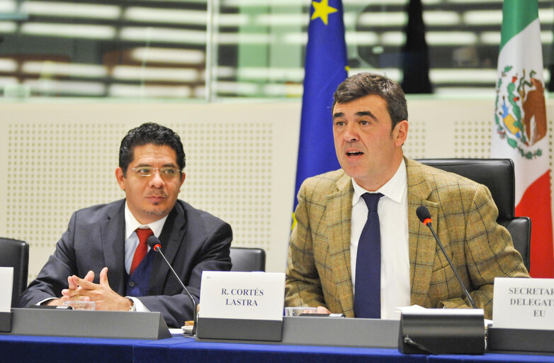 16th EU-Mexico meeting