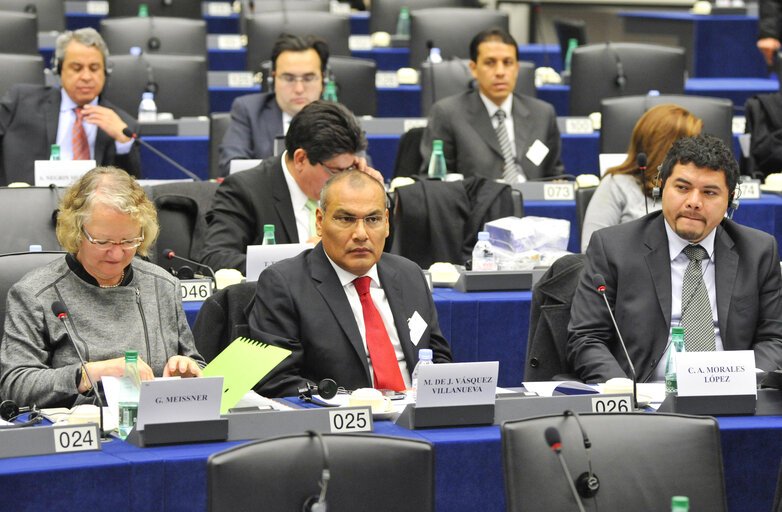 Foto 6: 16th EU-Mexico meeting