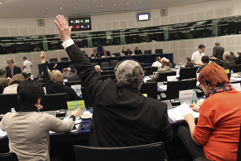 Fotogrāfija 14: Votes during the AFET Committee meeting.