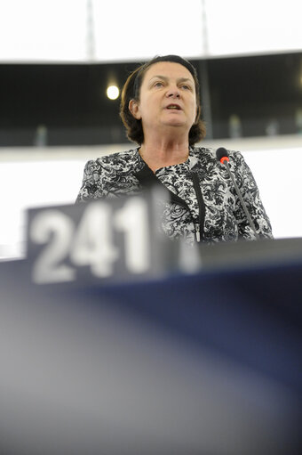 Fotografie 48: Plenary session week 47 2013 Strasbourg