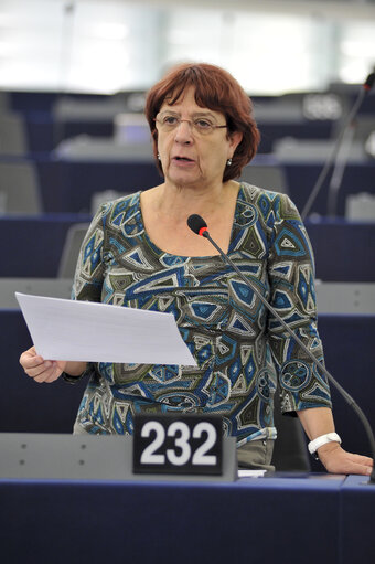 Plenary Session Week 47 2013 in Strasbourg