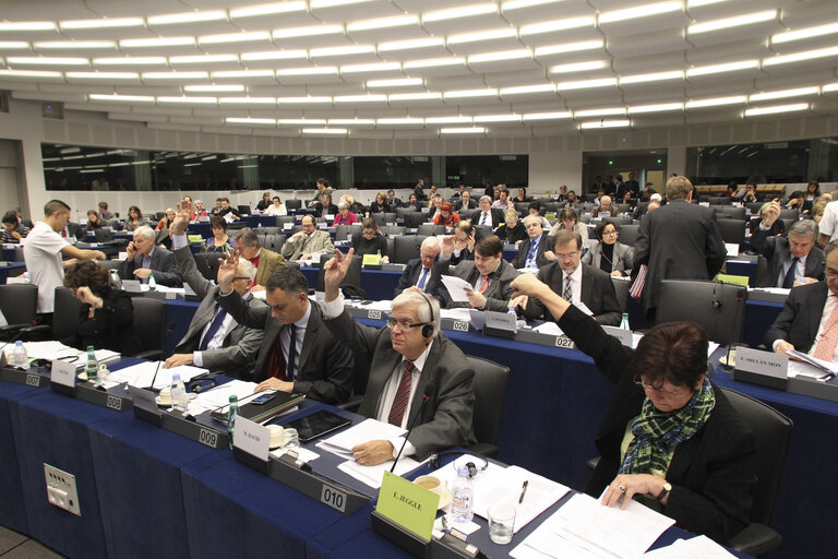 Fotogrāfija 11: Votes during the AFET Committee meeting.