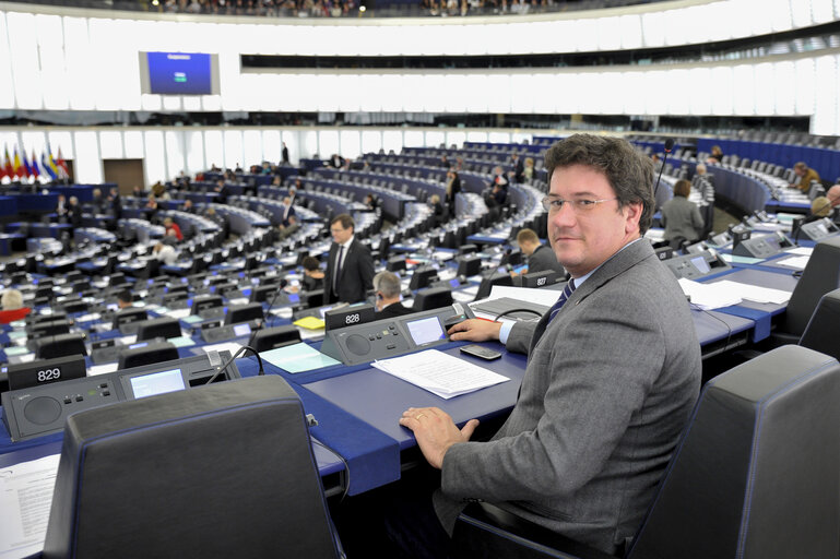 Fotografija 12: Sergio Paolo Francesco SILVESTRIS in plenary session in Strasbourg week 47 2013