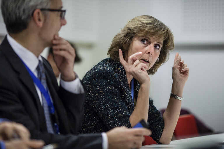 Fotografie 41: POLAND, Warsaw: European Commissioner Connie Hedegaard is seen during briefing with European Parliament delegation: November 20, 2013.