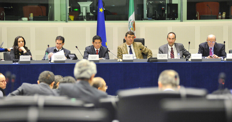 Foto 5: 16th EU-Mexico meeting