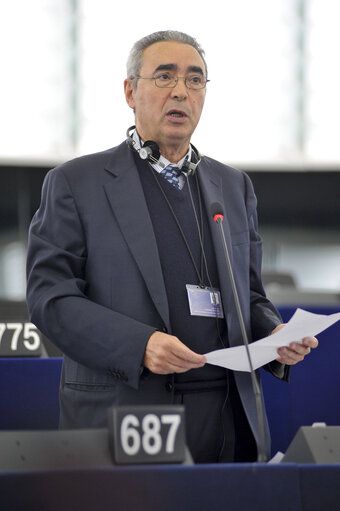 Φωτογραφία 7: Plenary Session Week 47 2013 in Strasbourg