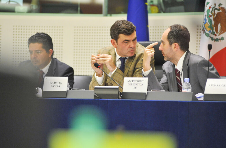 16th EU-Mexico meeting