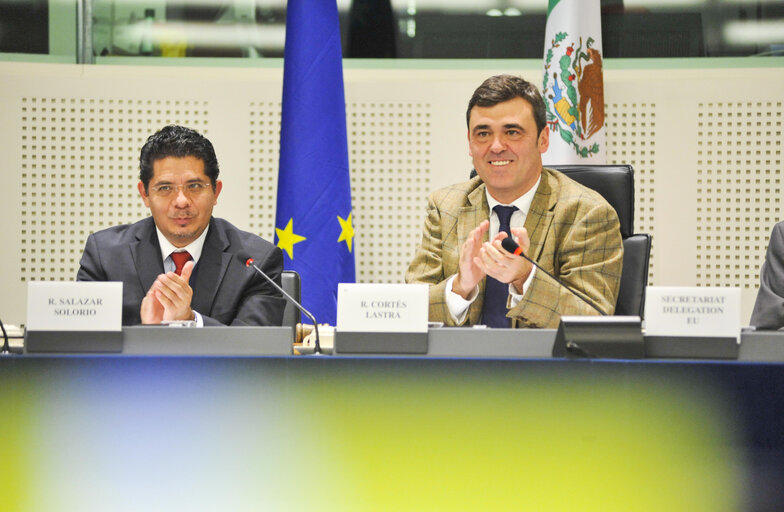 Fotagrafa 2: 16th EU-Mexico meeting