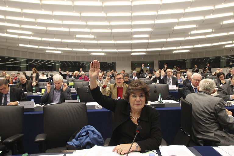 Fotogrāfija 12: Votes during the AFET Committee meeting.