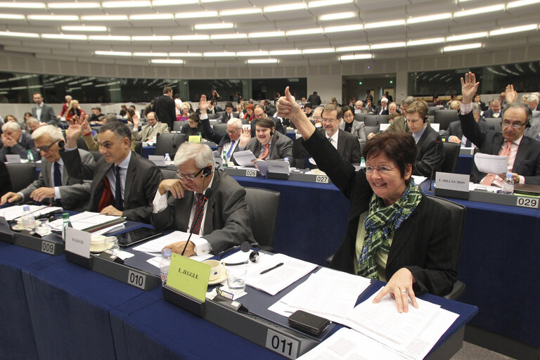 Fotogrāfija 8: Votes during the AFET Committee meeting.