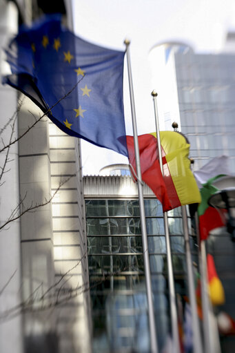 Various flags of country members of the European Union floating in the wind