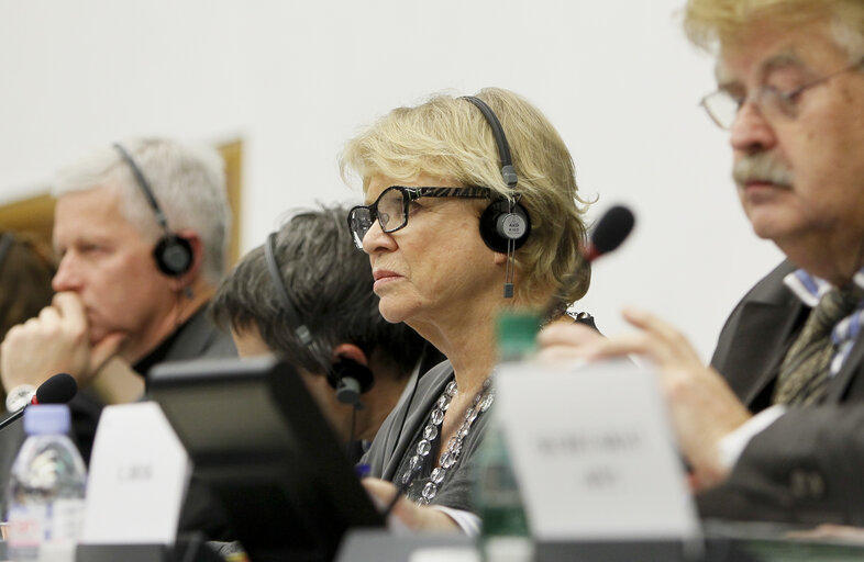 Fotografia 3: Joint meeting of the committee on foreign affairs, the committee on development and subcommittee on human rights, in association with the delegation for relations with Iran.  Exchange of views with the representatives of 2012 Sakharov prize laureates