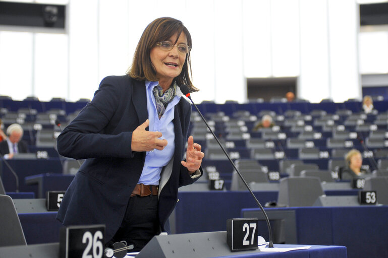 Plenary Session in Strasbourg - Week 21 - 2012