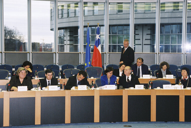 Valokuva 8: EP-Chile delegation meeting