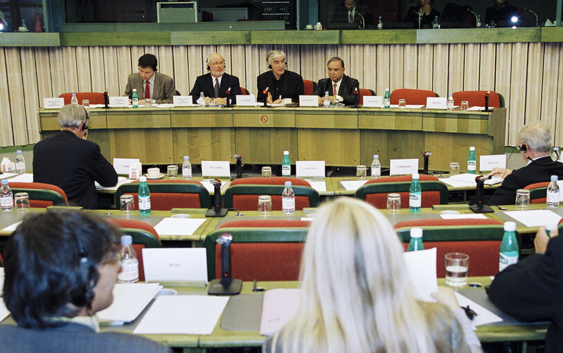 Zdjęcie 34: The MEPs Margrietus van den BERG, Fernando FERNANDEZ MARTIN during a meeting in Strasbourg in October 1999.