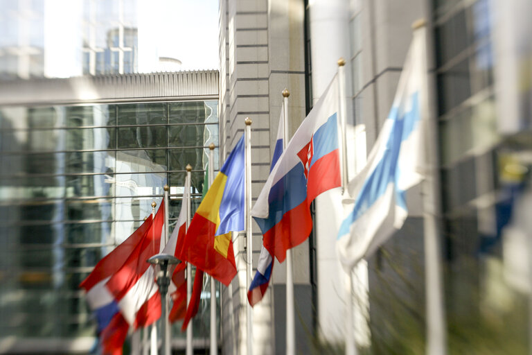 Various flags of some country members of the European Union floating in the wind