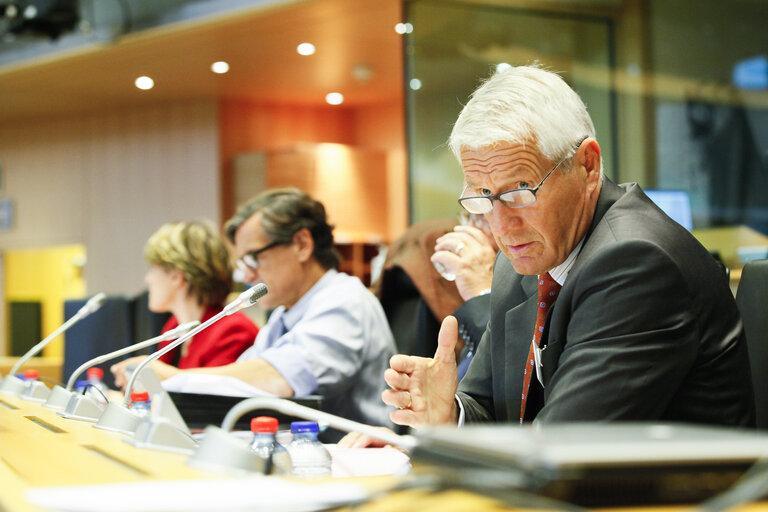 Fotografi 19: LIBE hearing on  The situation of Fundamental Rights in the EU how to strengthen fundamental rights, democracy and the rule of law in the EU